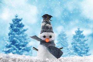 boneco de neve para alegre natal foto