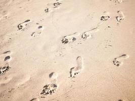 pegadas na areia em uma praia foto