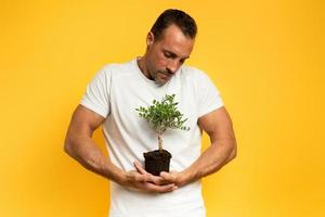 Garoto berços uma pequeno árvore pronto para estar plantado. amarelo cor fundo. conceito do florestação, ecologia e conservação foto