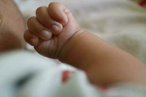 1 mão do uma recém-nascido dentro uma ganancioso posição com a polegar dentro foto