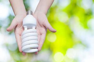 energia salvando conceito, mulher mão segurando luz lâmpada em verde natureza plano de fundo, ideias luz lâmpada dentro a mão foto