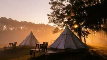barraca acampamento dentro a manhã . às thung Salaeng luang nacional parque phetchabun província, Tailândia foto