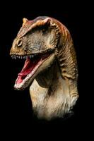 a cabeça do carcharodontossauro dentro a Sombrio , dinossauro em Preto fundo foto