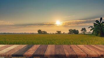 arroz campo pôr do sol e esvaziar madeira mesa para produtos exibição e montagem. foto