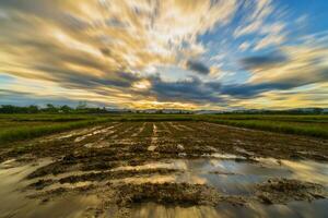 grandes exposição panorama com nuvens comovente arroz campo e pôr do sol. foto