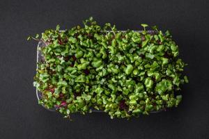 fresco microgreen rabanete dentro uma plástico caixa em uma Sombrio concreto fundo foto