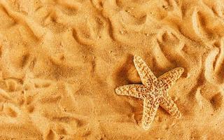 fundo do isolado estrelas do mar em a dourado de praia foto