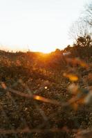 uma foto temperamental de uma cerca com um fundo desfocado durante o pôr do sol