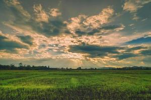 natural cena céu nuvens e campo agrícola pôr do sol fundo foto