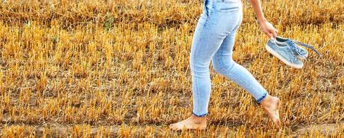 descalço menina com tênis dentro mão caminhando dentro a agrícola campo com palheiro e fardos foto