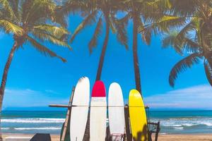 muitas pranchas de surfe ao lado de coqueiros na praia de verão com sol e céu azul foto