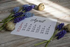 abril calendário e Primavera flores muscari foto