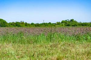 fotografia sobre o tema grande campo de fazenda vazio para colheita orgânica foto