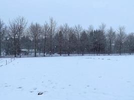 uma Visão do reykjavik parque coberto dentro neve foto