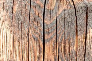 textura de madeira áspera foto