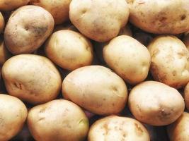 close-up de batatas foto