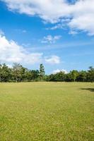 parque com campos de grama verde e um belo cenário de fundo de parque foto