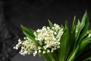 branco lírio do a vale flores ficar de pé dentro uma vaso com verde folhas e orvalho gotas foto