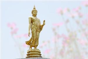 makha asanaha visakha bucha dia imagem de buda dourado. fundo de folhas de bodhi com luz brilhante. imagem suave e estilo de foco suave foto