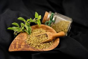 orégano origanum vulgar delicioso cozinha ervas foto