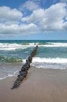 quebra-mar --chamado buhne - para costa proteção às báltico mar, alemanha foto