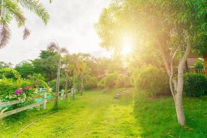 lindo jardim verde foto