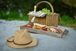 cesta de piquenique de vime com frutas e garrafa de vinho na grama verde durante o dia