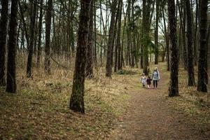 mãe e dois filhas com mochilas caminhando ao longo a floresta estrada junto. foto