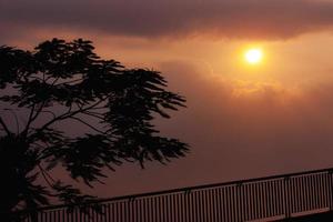 lindo pôr do sol sobre a rio com árvore foto