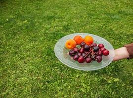 uma mão detém uma prato com frutas e bagas em uma fundo do verde vegetação. foto