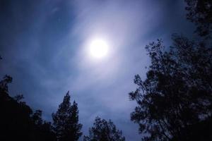 noite céu com uma muito brilhante lua e cercado de Sombrio noite foto