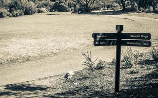 sinalizado caminhada trilhas verde turquesa placa dentro Kirstenbosch, capa cidade. foto