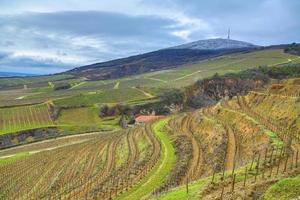 lendário vinhas do tokaj foto