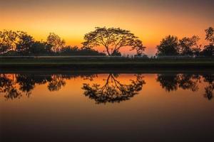 árvores de a canal às pôr do sol, água reflexão foto