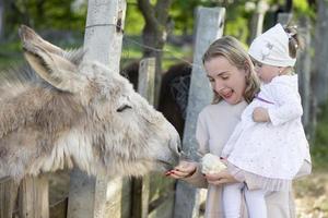 mãe com uma filha pequena alimenta um burro. uma mulher com uma criança em uma fazenda. foto
