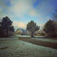 Nevado brilhante dia dentro inverno foto