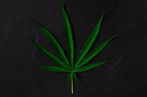 cannabis folha em Preto pedra fundo, foto