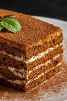 fechar-se do Tiramisu sobremesa em Sombrio fundo. foto