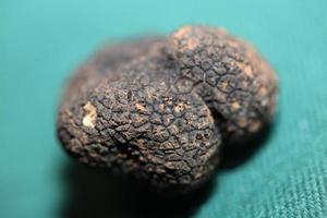 Preto trufas cogumelos fechar acima fundo tubérculo aestivum família tuberaceae Alto qualidade grande Tamanho impressão foto