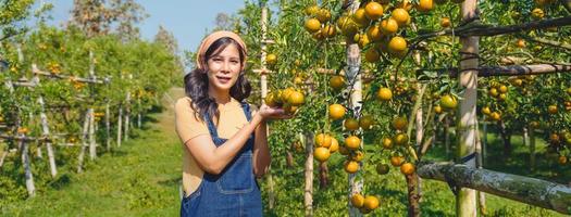 jovem ásia mulher agricultor em pé segurando laranja fruta com sorridente dentro jardim foto