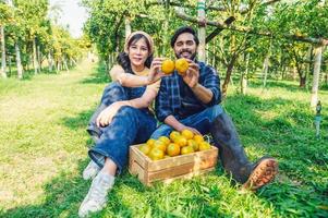 casal jardineiro trabalhando dentro laranja Fazenda sentado com segurando laranja fruta. conceito agricultura foto