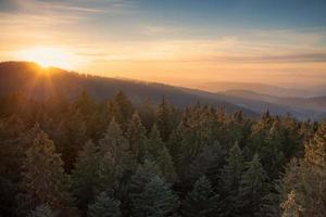 pôr do sol sobre Suíça com pinho floresta foto