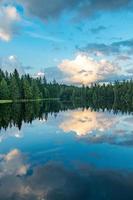 uma floresta este carrinhos de a água e reflete em si dentro a água foto