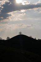 uma silhueta do uma árvore em uma Colina durante a pôr do sol foto