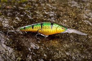 isca de pesca balançando em uma pedra molhada com musgo foto