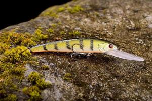 isca de pesca balançando em uma pedra molhada com musgo foto