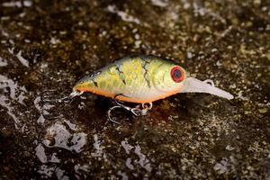 isca de pesca balançando em uma pedra molhada com musgo foto