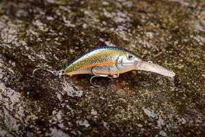 isca de pesca balançando em uma pedra molhada com musgo foto