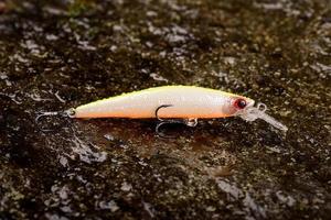 isca de pesca balançando em uma pedra molhada com musgo foto