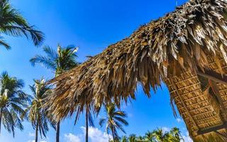 hotéis resorts edifícios no paraíso entre palmeiras puerto escondido. foto